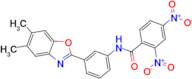 N-[3-(5,6-Dimethyl-benzooxazol-2-yl)-phenyl]-2,4-dinitro-benzamide