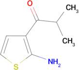 1-(2-Amino-thiophen-3-yl)-2-methyl-propan-1-one