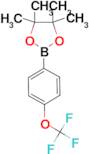 4,4,5,5-Tetramethyl-2-(4-trifluoromethoxyphenyl)-1,3,2-dioxaborolane