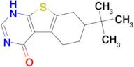 7-tert-Butyl-5,6,7,8-tetrahydro-3H-benzo[4,5]-thieno[2,3-d]pyrimidin-4-one