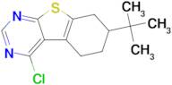 7-tert-Butyl-4-chloro-5,6,7,8-tetrahydro-benzo[4,5]thieno[2,3-d]pyrimidine