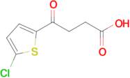 4-(5-Chloro-2-thienyl)-4-oxobutyric acid