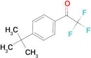 4'-tert-Butyl-2,2,2-trifluoroacetophenone