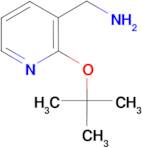 3-(Aminomethyl)-2-tert-butoxypyridine