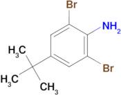 2,6-Dibromo-4-tert-butyl aniline