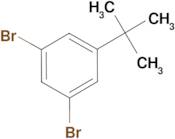 1,3-Dibromo-5-tert-butylbenzene