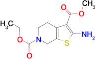 2-Amino-4,7-dihydro-5H-thieno[2,3-c]pyridine-3,6-dicarboxylic acid 6-ethyl ester 3-methyl ester