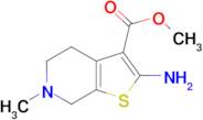 Methyl 2-amino-6-methyl-4,5,6,7-tetrahydrothieno-[2,3-c]pyridine-3-carboxylate