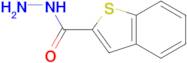 Benzo[b]thiophene-2-carboxylic hydrazide