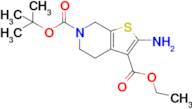 2-Amino-4,7-dihydro-5H-thieno[2,3-c]pyridine-3,6-dicarboxylic acid 6-tert butyl ester 3-ethyl ester