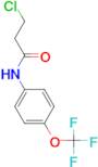 3-Chloro-N-(4-trifluoromethoxy-phenyl)-propionamide