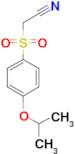 (4-iso-Propoxy-benzenesulfonyl)-acetonitrile
