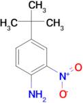 4-tert-Butyl-2-nitroaniline