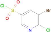 5-Bromo-6-chloro-3-pyridine sulfonyl chloride