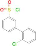 2'-Chloro-biphenyl-3-sulfonyl chloride