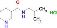 Piperidine-3-carboxylic acid isobutylamidehydrochloride