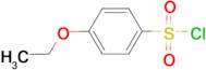 4-Ethoxy-benzenesulfonyl chloride