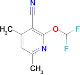 2-Difluoromethoxy-4,6-dimethyl-nicotinonitrile