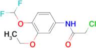 2-Chloro-N-(4-difluoromethoxy-3-ethoxy-phenyl)-acetamide