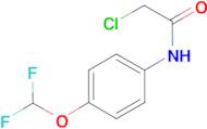 2-Chloro-N-(4-difluoromethoxy-phenyl)-acetamide