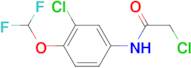 2-Chloro-N-(3-chloro-4-difluoromethoxy-phenyl)-acetamide