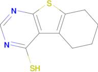 5,6,7,8-Tetrahydro-benzo[4,5]thieno[2,3-d]-pyrimidine-4-thiol