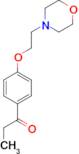 1-[4-(2-Morpholin-4-yl-ethoxy)-phenyl]-propan-1-one