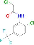 2-Chloro-N-(2-chloro-5-trifluoromethyl-phenyl)-acetamide