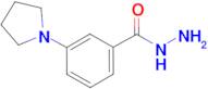 3-Pyrrolidin-1-yl-benzoic acid hydrazide