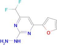 (4-Difluoromethyl-6-furan-2-yl-pyrimidin-2-yl)-hydrazine