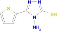 4-Amino-5-thiophen-2-yl-4 H -[1,2,4]triazole-3-thiol