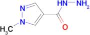 1-Methyl-1H-pyrazole-4-carboxylic acid hydrazide