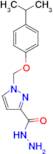 1-(4-Isopropyl-phenoxymethyl)-1 H -pyrazole-3-carboxylic acid hydrazide