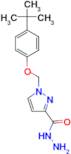 1-(4- tert -Butyl-phenoxymethyl)-1 H -pyrazole-3-carboxylic acid hydrazide
