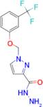 1-(3-Trifluoromethyl-phenoxymethyl)-1 H -pyrazole-3-carboxylic acid hydrazide
