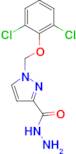 1-(2,6-Dichloro-phenoxymethyl)-1 H -pyrazole-3-carboxylic acid hydrazide
