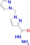 1-Pyrazol-1-ylmethyl-1 H -pyrazole-3-carboxylic acid hydrazide