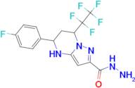 5-(4-Fluoro-phenyl)-7-pentafluoroethyl-4,5,6,7-tetrahydro-pyrazolo[1,5- a ]pyrimidine-2-carboxylic…