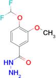 4-Difluoromethoxy-3-methoxy-benzoic acid hydrazide