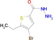 4-Bromo-5-ethyl-thiophene-2-carboxylic acid hydrazide