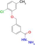 3-[(2-Chloro-5-methylphenoxy)methyl]benzohydrazide