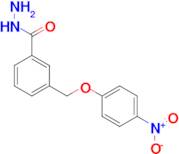 3-[(4-Nitrophenoxy)methyl]benzohydrazide