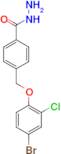 4-[(4-Bromo-2-chlorophenoxy)methyl]benzohydrazide