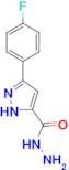 5-(4-Fluoro-phenyl)-2 H -pyrazole-3-carboxylic acid hydrazide