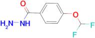 4-Difluoromethoxy-benzoic acid hydrazide