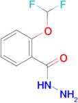 2-Difluoromethoxy-benzoic acid hydrazide