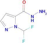 1-(Difluoromethyl)-1H-pyrazole-5-carbohydrazide