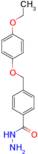 4-[(4-Ethoxyphenoxy)methyl]benzohydrazide