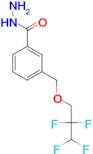 3-(2,2,3,3-Tetrafluoro-propoxymethyl)-benzoic acid hydrazide