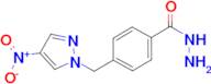 4-(4-Nitro-pyrazol-1-ylmethyl)-benzoic acid hydrazide
